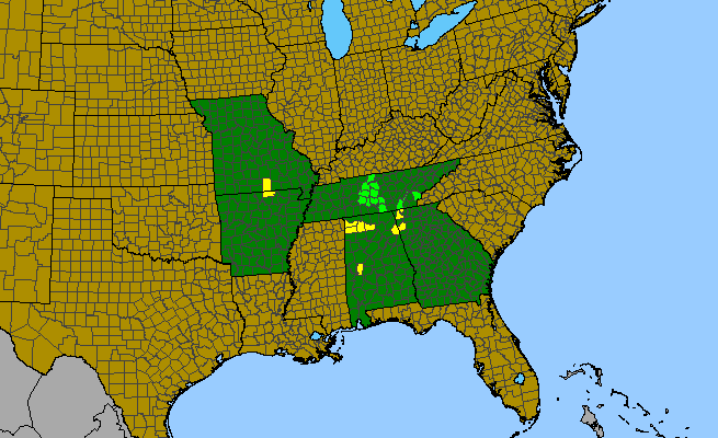 The range of Dalea gattingeri